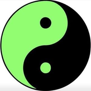 Meet your Posher, Stephen